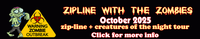 zipline with the zombies