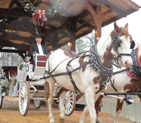 wedding carriage